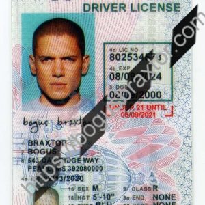 maryland fake id