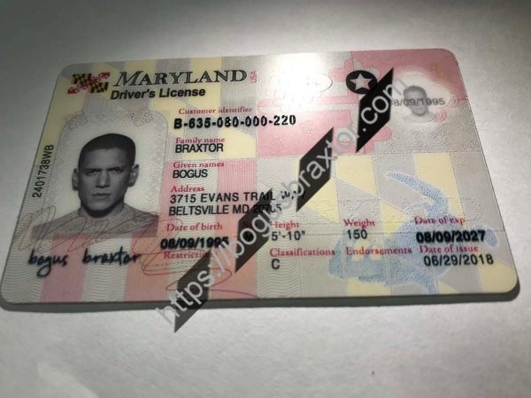 maryland fake id