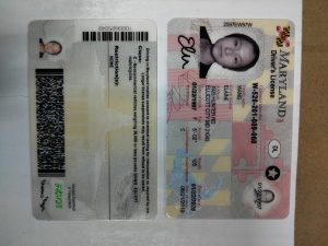 Maryland fake id