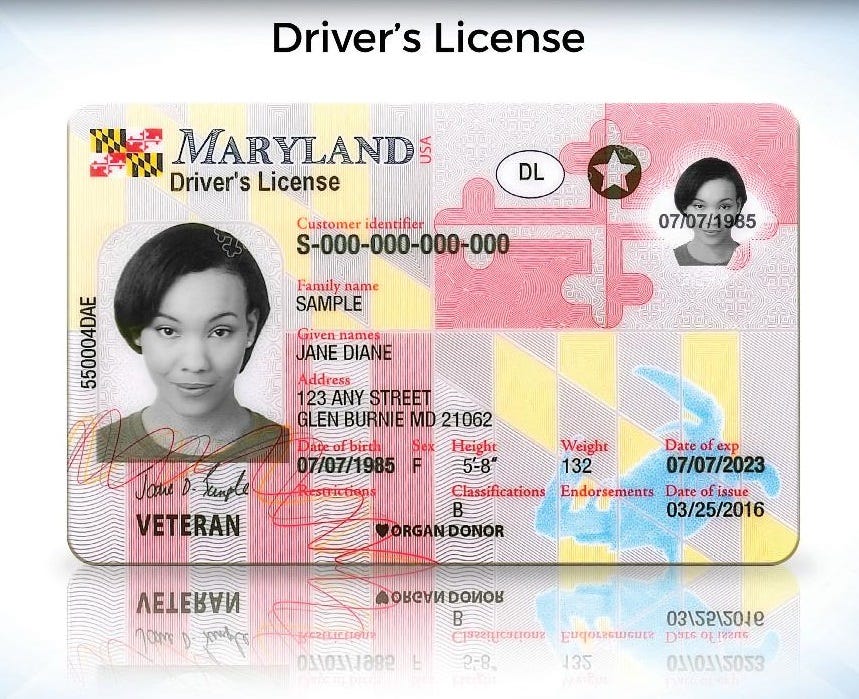 Maryland fake id