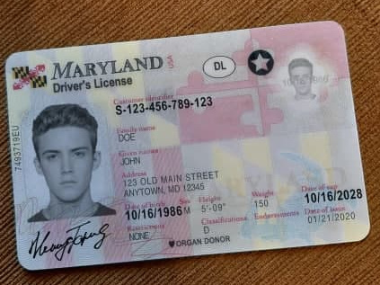 Maryland fake id