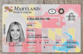 maryland fake id