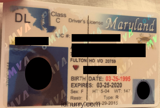 Maryland Scannable fake id