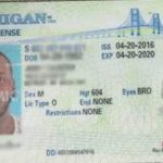 michigan fake id