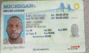 michigan fake id