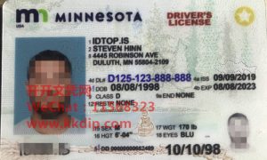 minnesota fake id