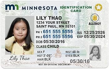 minnesota fake ids