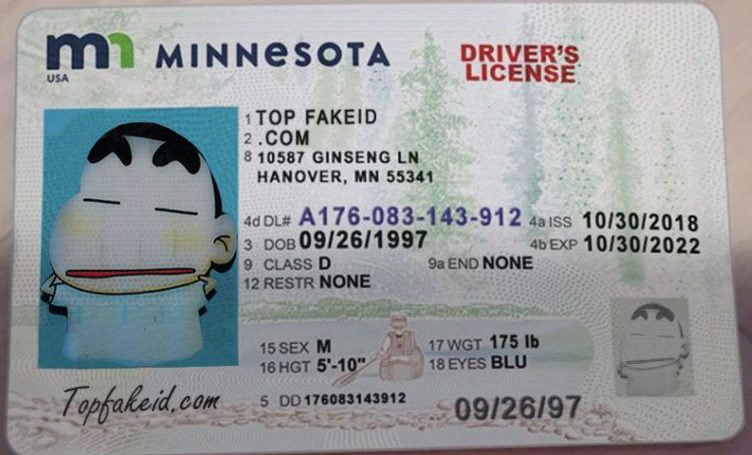 Minnesota Scannable fake id