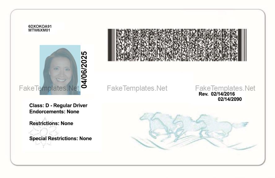 Montana Fake Id Front And Back