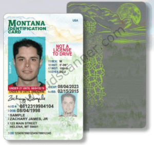 Montana fake id