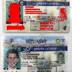 nevada fake id