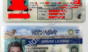 nevada fake id