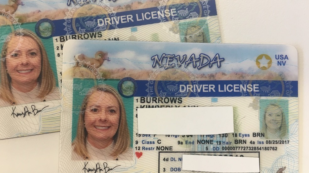 Nevada fake id