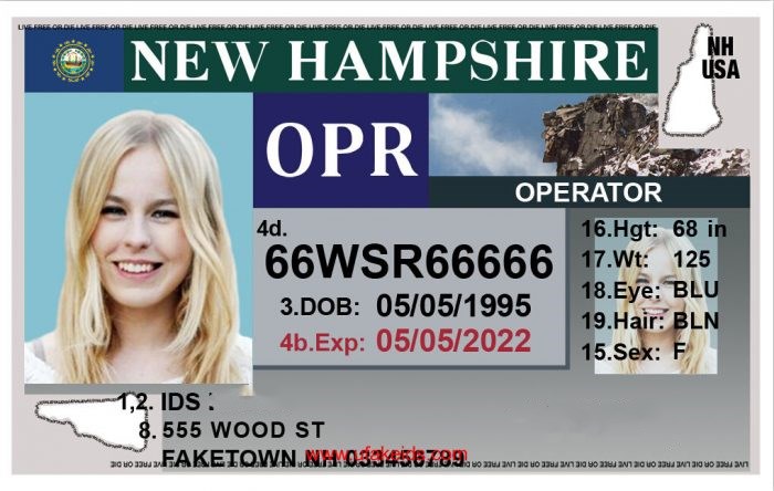 New Hampshire Fake Id Maker