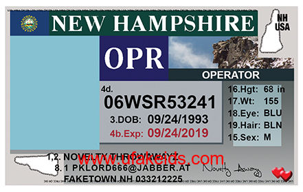 New Hampshire Fake Id Templates
