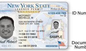 new york fake id