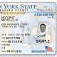 new york fake id