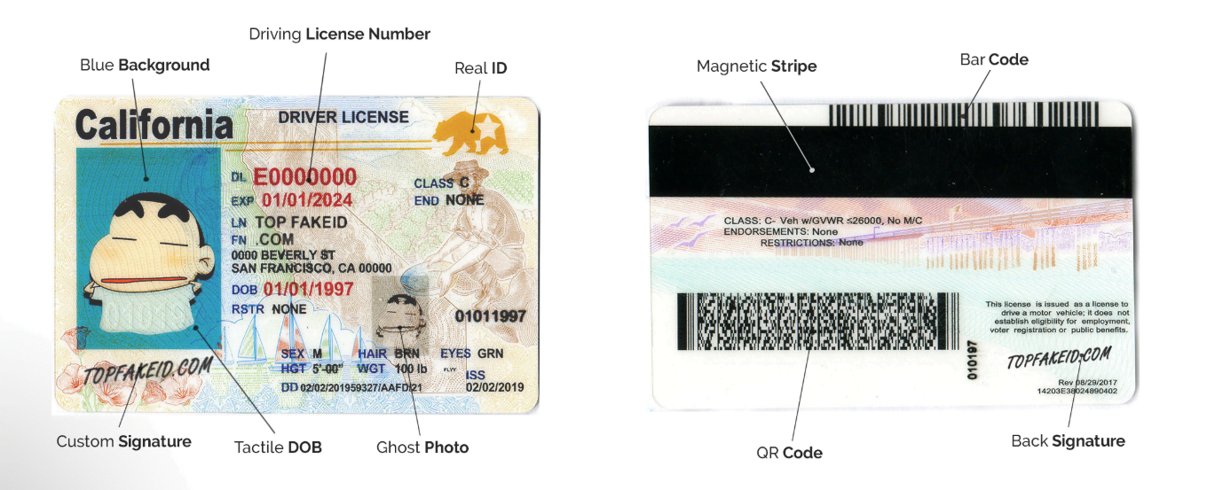 North Carolina Fake Id Generator