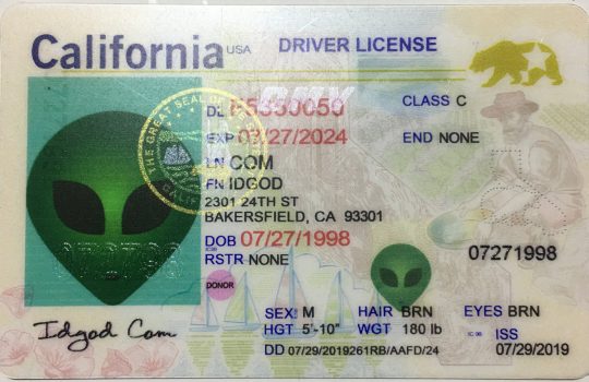 order fake id