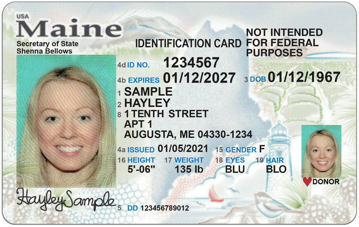 Order Maine Fake Id