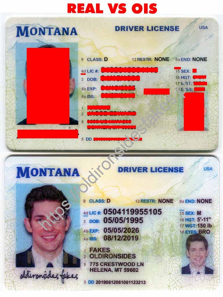 Order Montana Fake Id