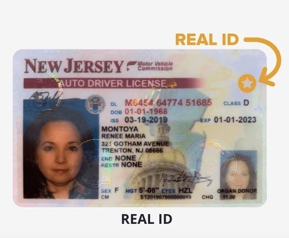 Order New Jersey Fake Id