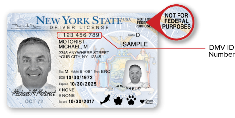 Order New York Fake Id