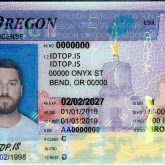 Oregon fake id