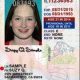 pennsylvania fake id