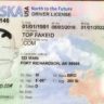 south carolina fake id