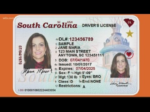 South Carolina fake id