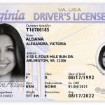 virginia fake id