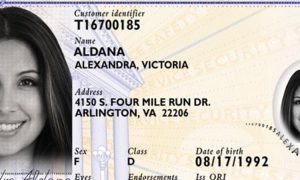 virginia fake id