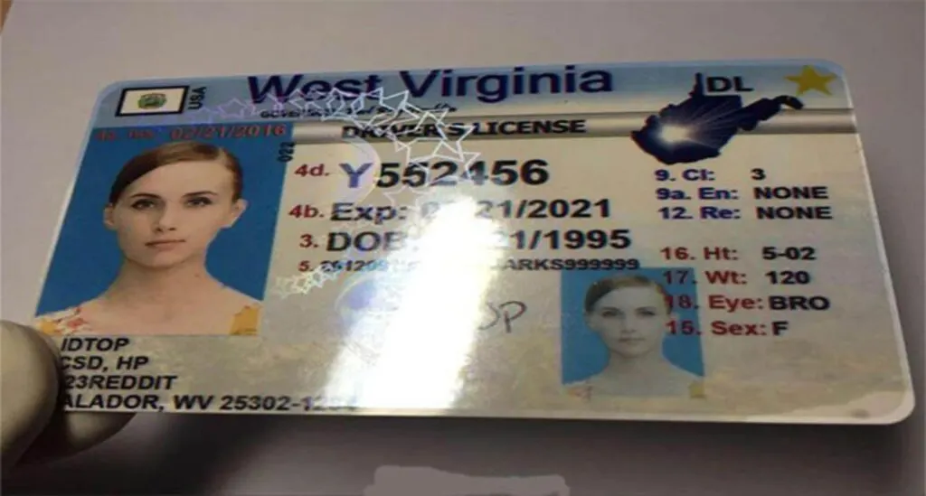 Virginia fake id