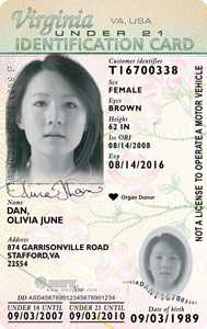 Virginia fake id