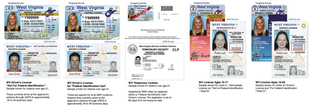 Virginia fake id