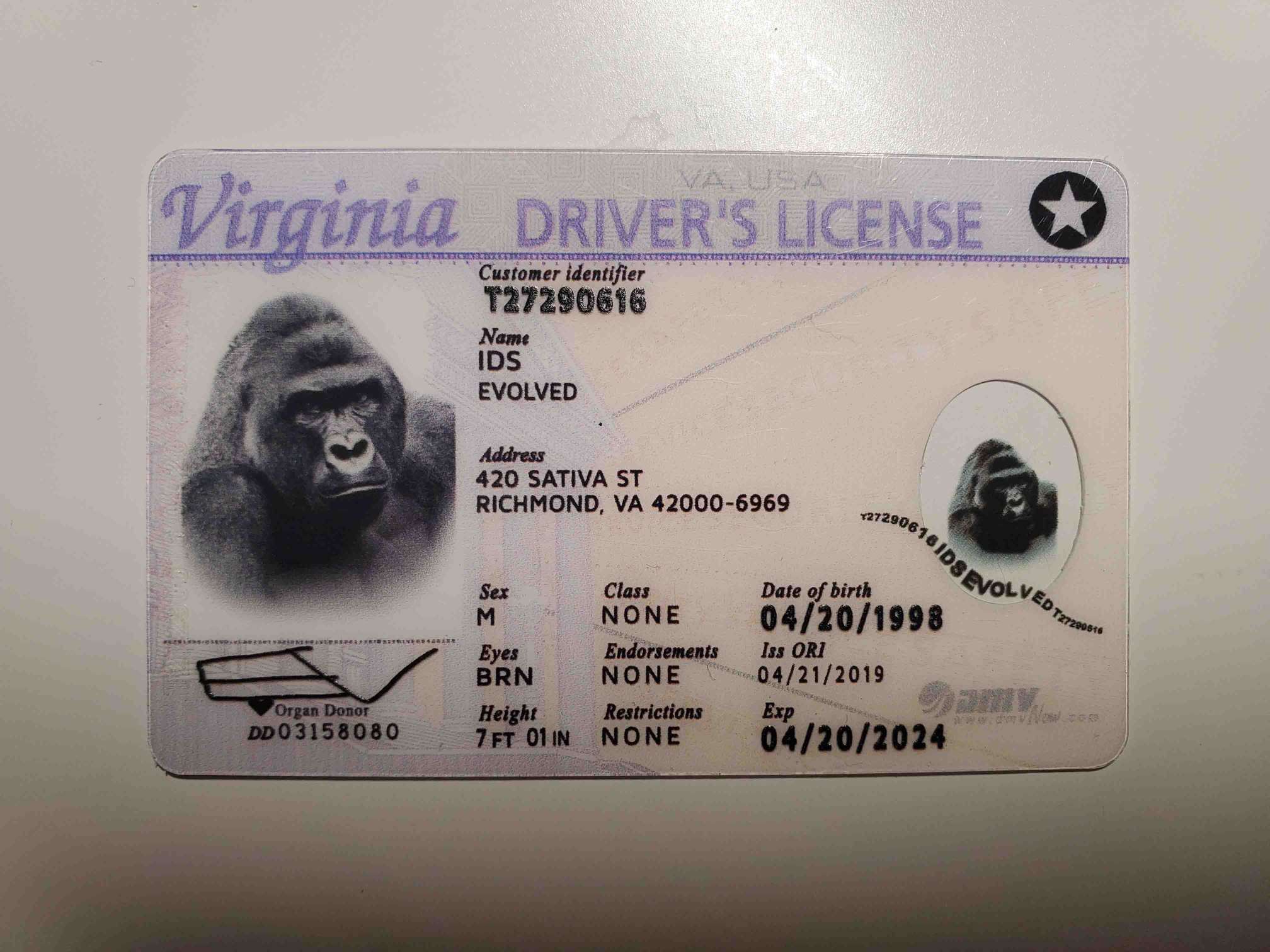 virginia fake id