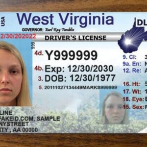 Virginia Scannable fake id