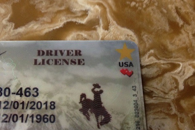 Wyoming fake id